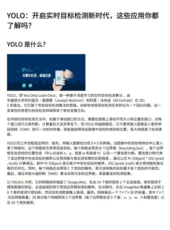 【計(jì)算機(jī)視覺】YOLO實(shí)時目標(biāo)檢測算法綜述：原理、特點(diǎn)、應(yīng)用領(lǐng)域及發(fā)展趨勢分析 PDF 下載 圖1